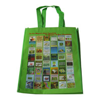 潍坊LB11覆膜无纺布广告袋